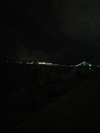 今日もサバ、サバ、サバ⁈