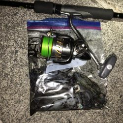 出張先でエギング