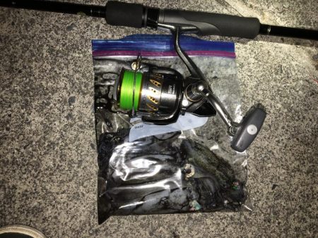 出張先でエギング