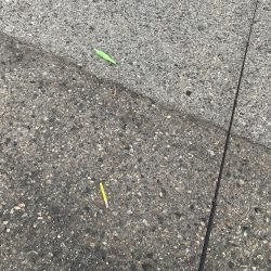 今日は、厳しい。