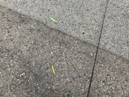 今日は、厳しい。