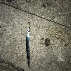 デカサバ求めて