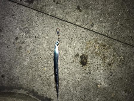 デカサバ求めて