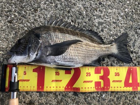 またまた夕マヅメ