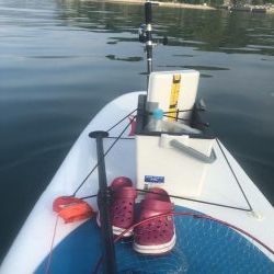 Supフィッシング