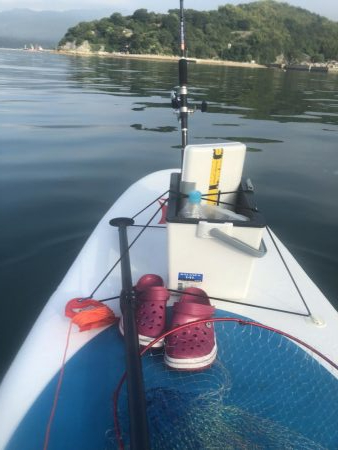 Supフィッシング