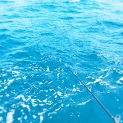 牟岐沖タイラバ海漁丸