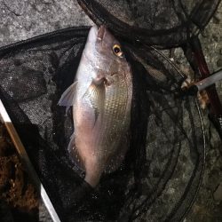 まさかの釣果