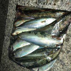 サビングっていうのかな?