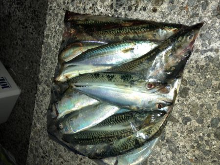 サビングっていうのかな?