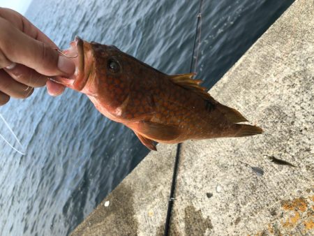 直江津ハッピーにて