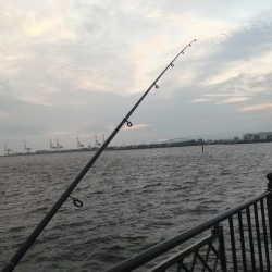 天保山の中央突堤にてライトショアジギング