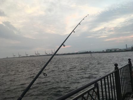 天保山の中央突堤にてライトショアジギング