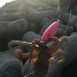 今日も取ったぞー！③