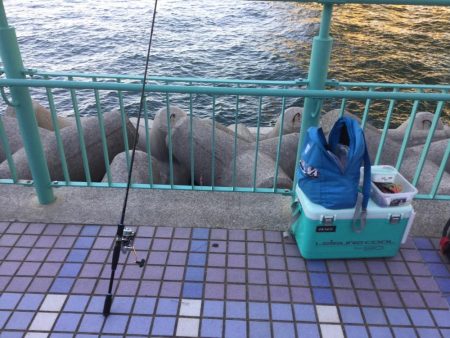 タチウオは何処に