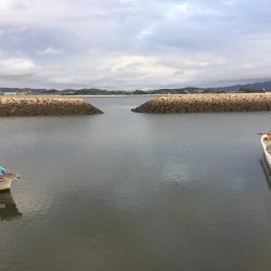 高梁川 シーバス