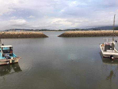高梁川 シーバス