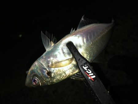 1時間30分のナイトアジング