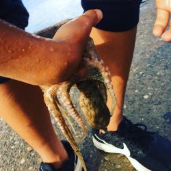 オクトパッシング