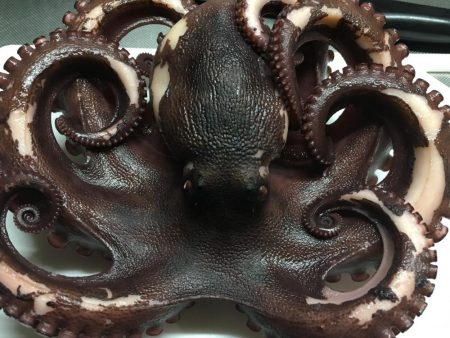 ワインドオクトパッシング