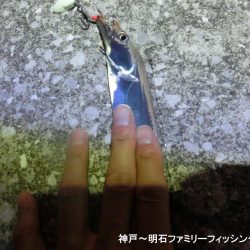 タチウオは情報通りの釣果です