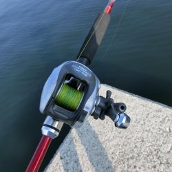 7目達成（タコ含む）