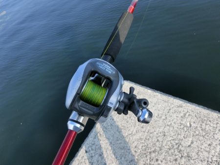 7目達成（タコ含む）