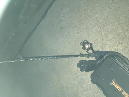 人生初のショアマダイ