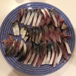 久しぶりの釣り