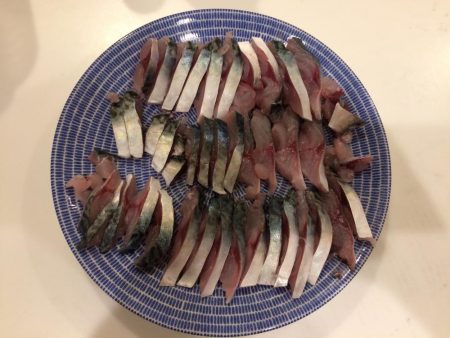 久しぶりの釣り