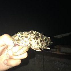 予報に反し爆風