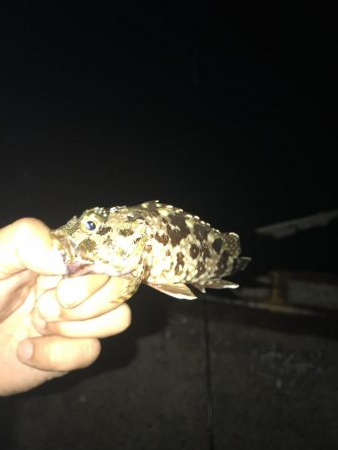 予報に反し爆風