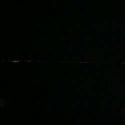 真夏のアコウ！！