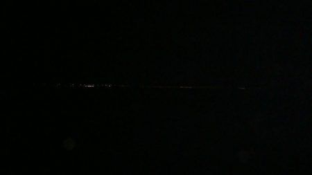 真夏のアコウ！！