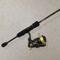 鱗付け何とか成功！