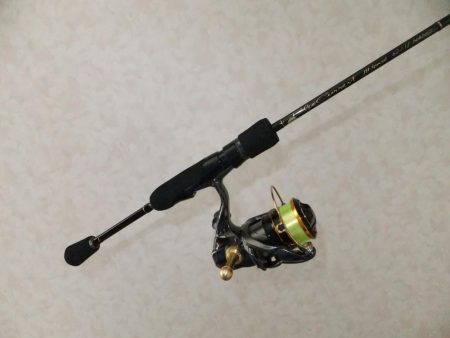 鱗付け何とか成功！