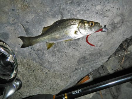 良く引きました