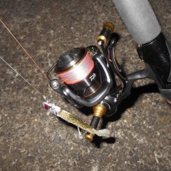 NEXT SPIN 20で爆撃？。