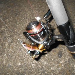 ペンシルベイトのロングステイでヒット。