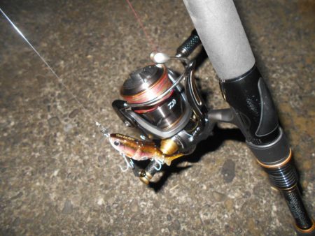 ペンシルベイトのロングステイでヒット。