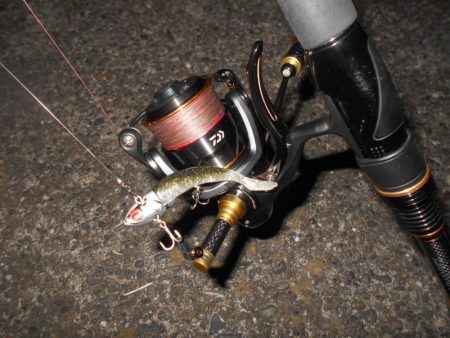 厳しい時はアルカリjr.の出番…か？。