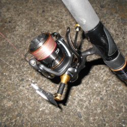 ミニカリでボウズ逃れ(^^;)。