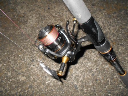 ミニカリでボウズ逃れ(^^;)。