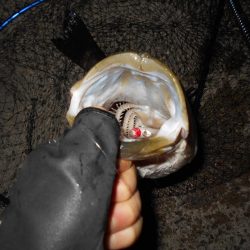 ピックアップ寸前にバスンッ♪。