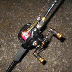 ベイトタックルで楽しんでみる。