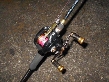 ベイトタックルで楽しんでみる。