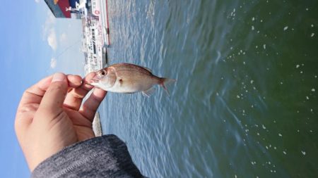 お盆の海遊館裏