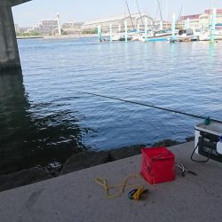 猛暑日は、日陰で