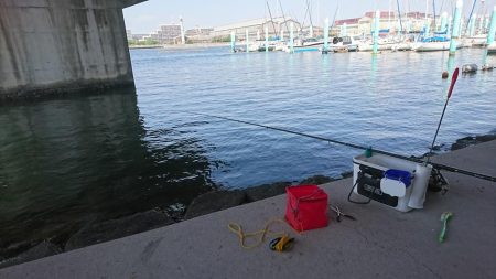 猛暑日は、日陰で