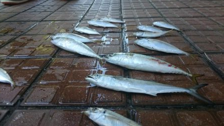 デイアジング成立！